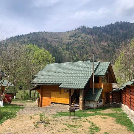 Еко Будинок В Горах Verkhnyaya Bystra Exterior foto